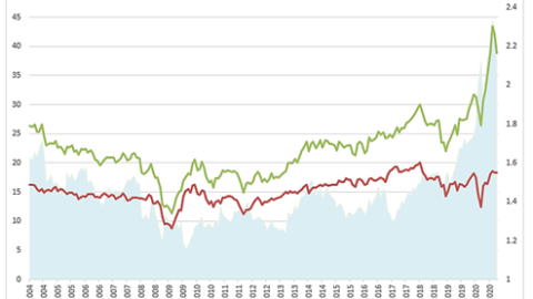 Market Commentary: Social Changes, Low Yields & the Effects on Growth Stocks | Fountainhead Advisors